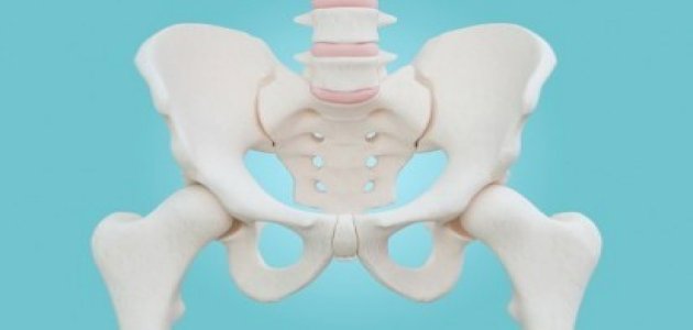 جبل العانة: موقعه ووظيفته والأمراض التي تصيبه