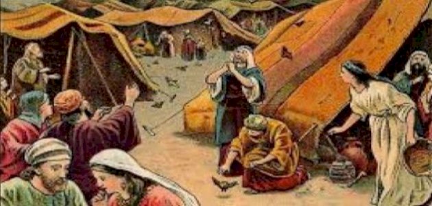 قصة مثل: على نفسها جنت براقش