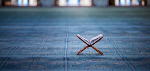 معنى آية: ولسوف يعطيك ربك فترضى