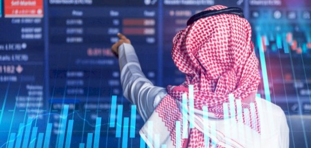 ما هي المزايا الاستثمارية لشركة لومي لتأجير السيارات؟